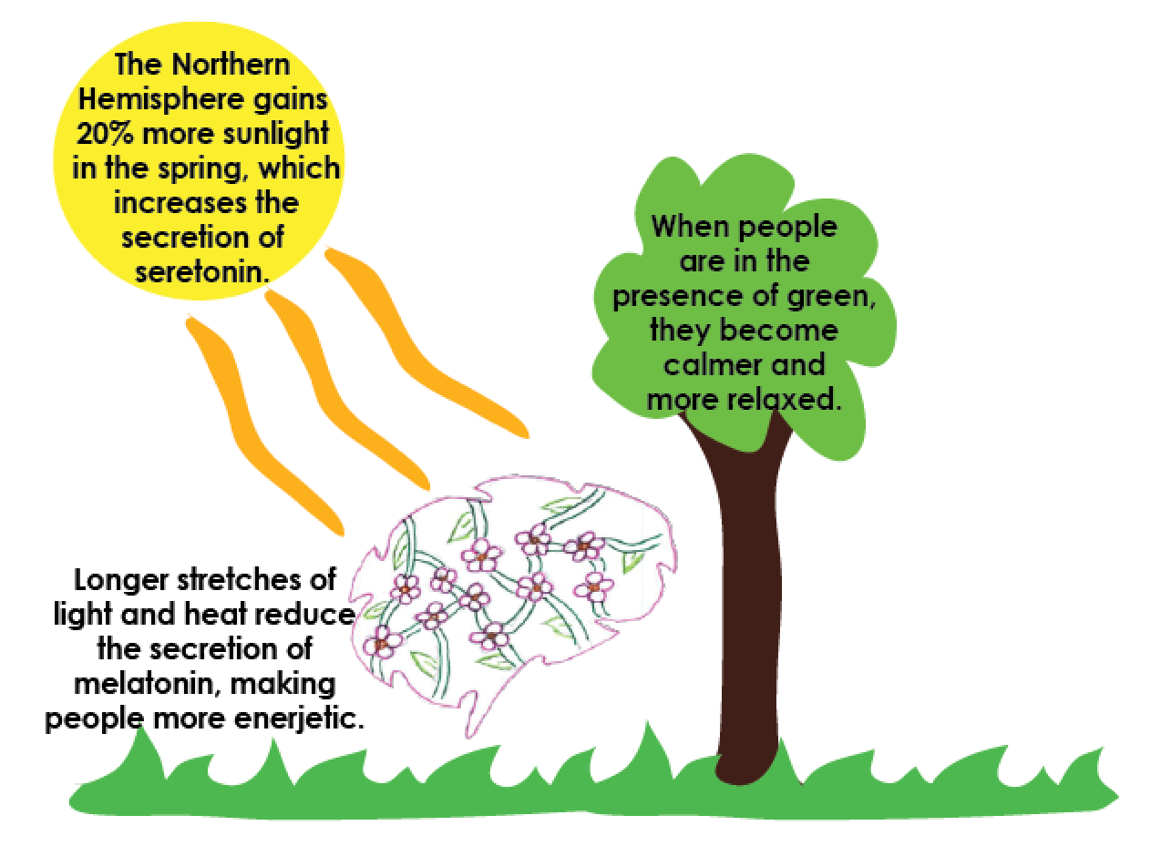 CHEMISTRY. When spring arrives, the warmth of the sun decreases melatonin making people more active, and the presence of green makes people feel relaxed.