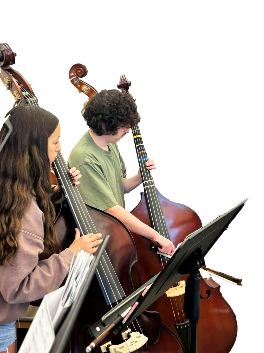 ORCHESTRA OASIS. Sophomore Johann DeVriese rehearses the string bass part of a song to prepare for the concert. While bass players are familiar with both string and electric bass, the classical repertoire of the spring concert typically requires more string bass. 