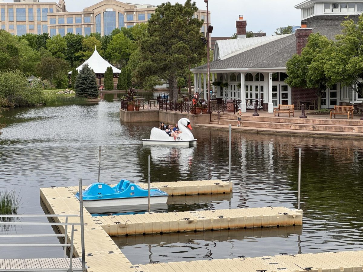 SWAN LAKE. One of Centennial Lakes Park’s most notable activities is paddling boating.