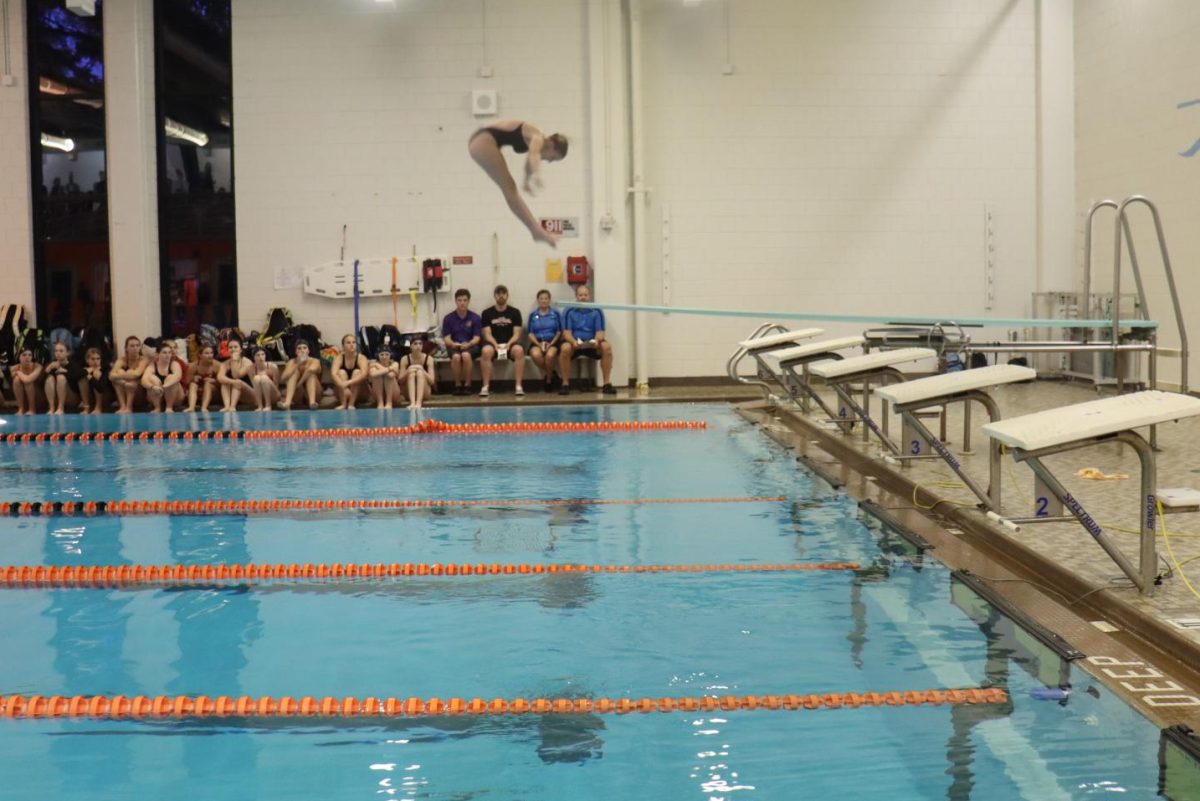 PRECISION. Sophomore Avital Coleman dives gracefully into the pool. She hits the water with a splash after completing the skill. 