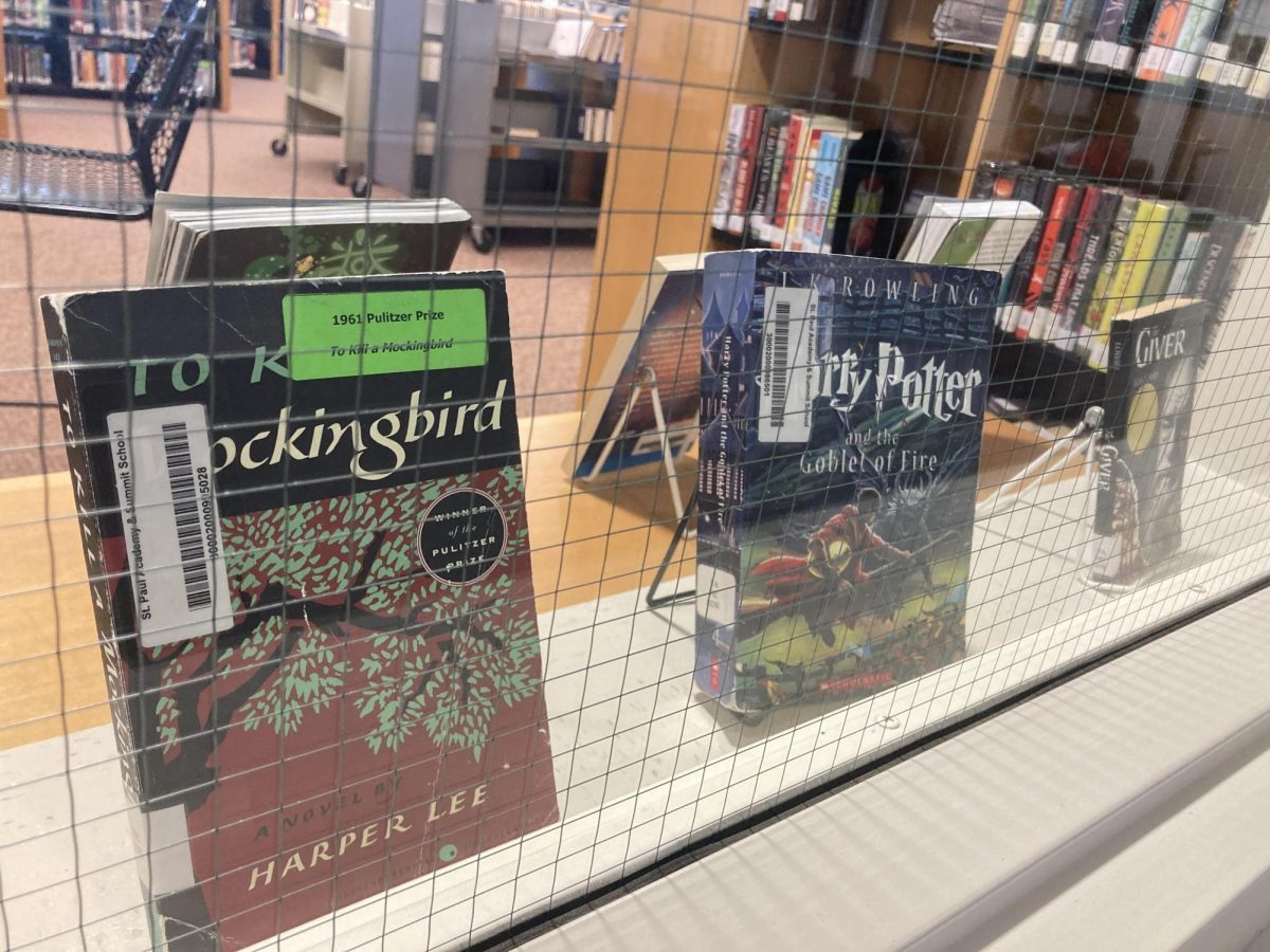 BEHIND BARS. Classic, well-known banned books line shelves facing the library windows.