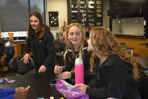 CLUB FUN. Ninth grader Louise Mahoney and Junior Nora McKoy chat at Youth in Government Club