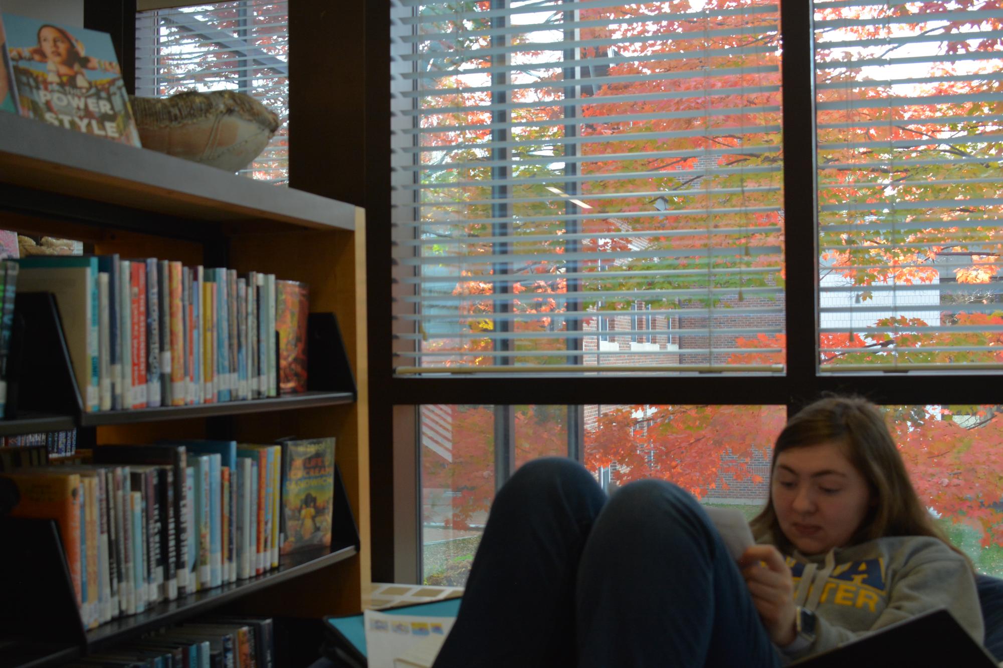 Ella Barlow works on her homework in the libary, but the time that she spends between the books is not limited to schoolwork. "I like to read a lot... mostly mystery novels as a genre... they help me relax from the stress of school," Barlow said. 