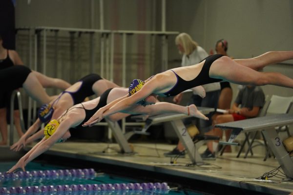 SYNC. All of the swimmers dive in sync into the water.