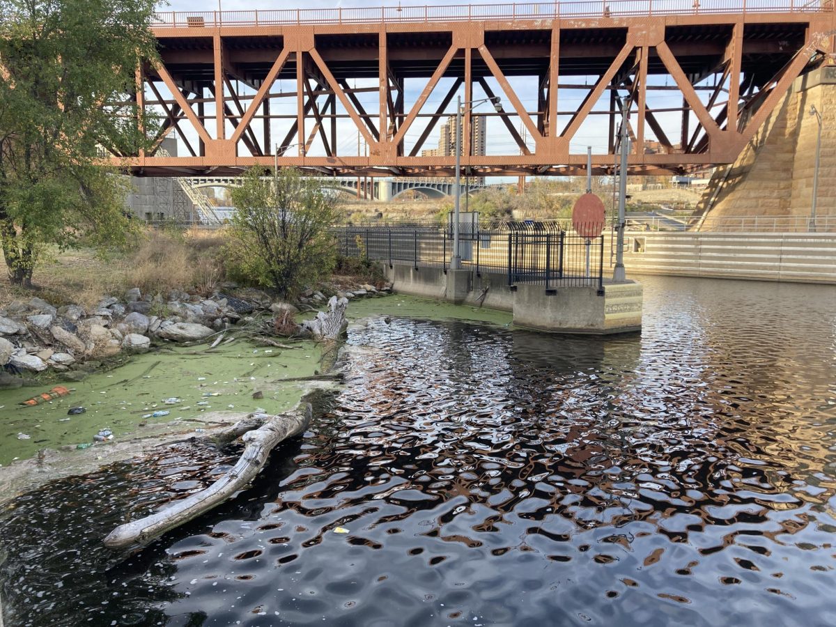 A TALE OF CONTRAST. While on the tour, it's hard not to notice the pollution in the area. From noise pollution to trash in the rivers, the tour explains how this place looks much different from what it used to.