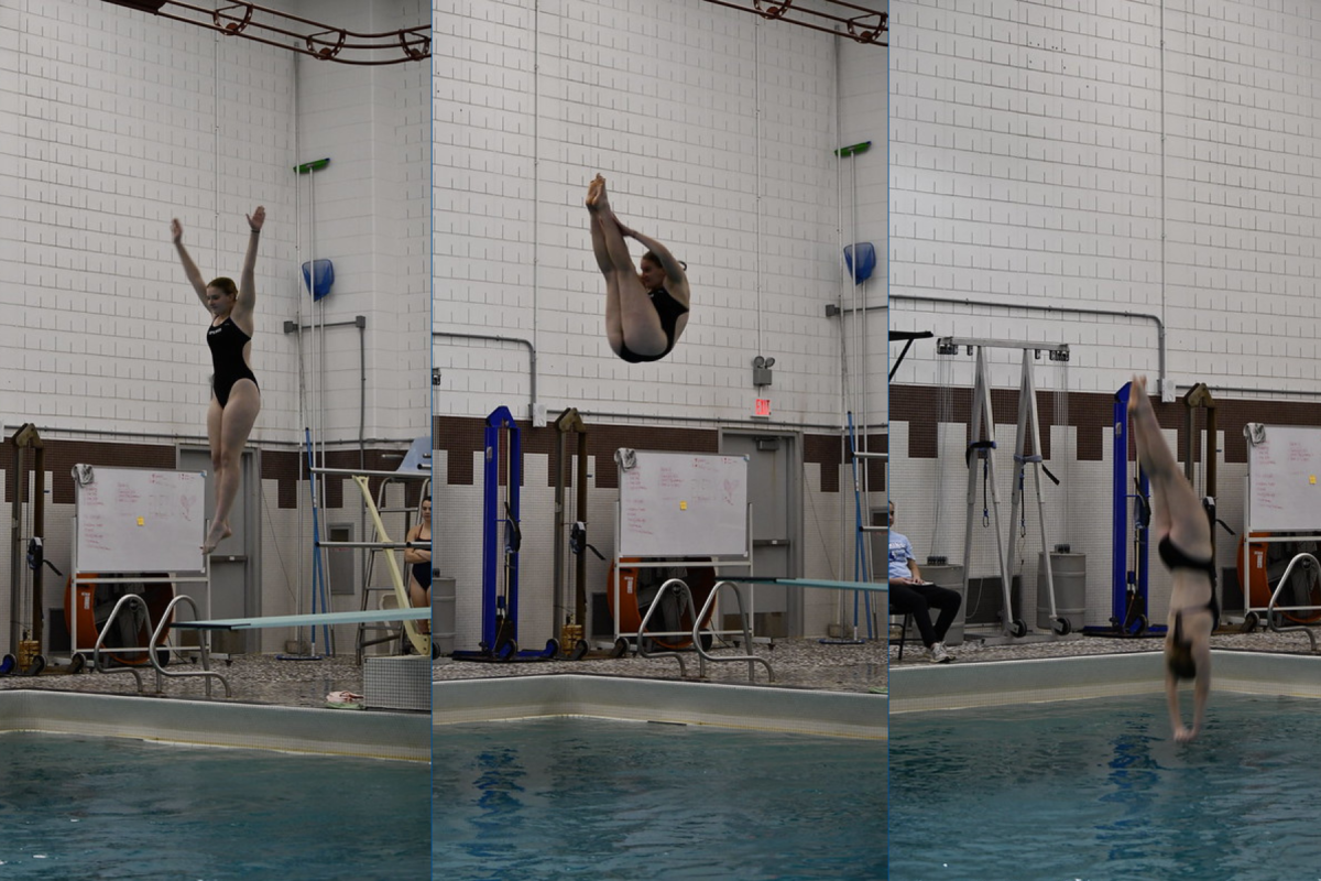 STATE BOUND. Avi Coleman dives into the water and secures her place on and the state competition.