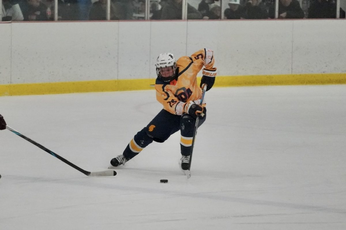 DANGLES. Freshman Max George takes the puck down the ice around a Johnson player.